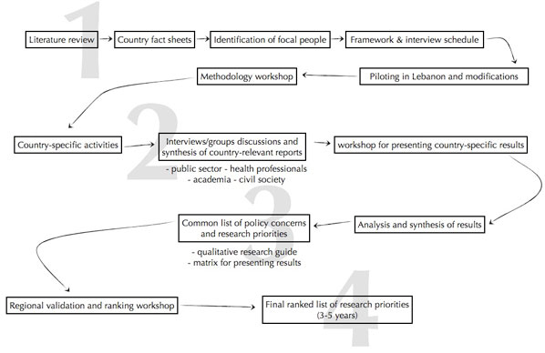 Figure 4: The Regional Priority-Setting Process in the Middle East and North Africa